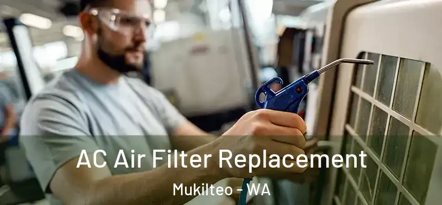 AC Air Filter Replacement Mukilteo - WA