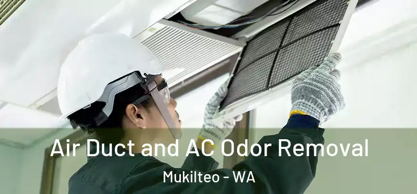 Air Duct and AC Odor Removal Mukilteo - WA