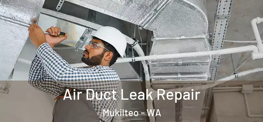 Air Duct Leak Repair Mukilteo - WA