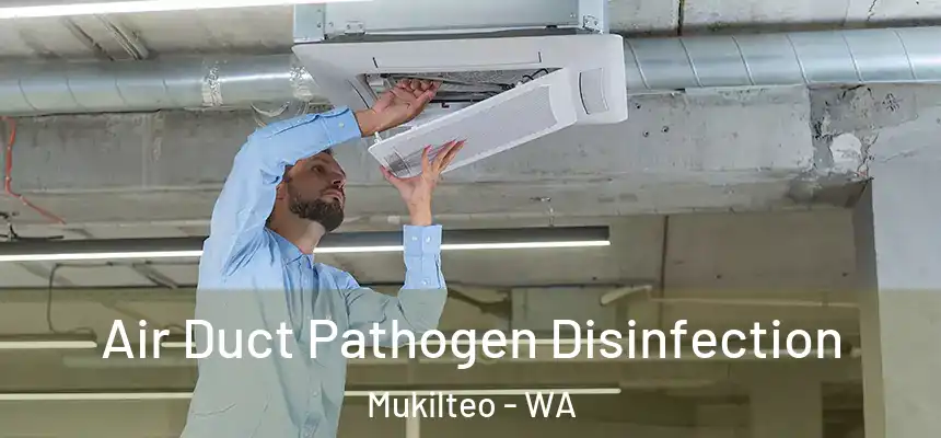 Air Duct Pathogen Disinfection Mukilteo - WA