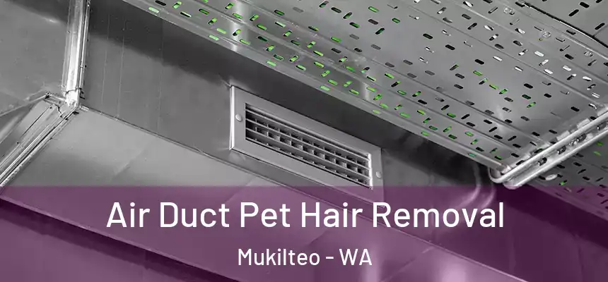 Air Duct Pet Hair Removal Mukilteo - WA