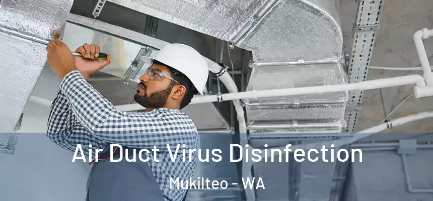 Air Duct Virus Disinfection Mukilteo - WA