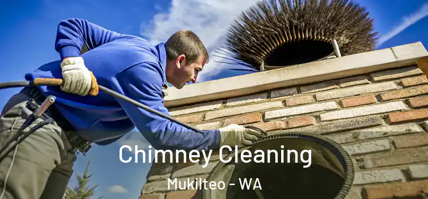  Chimney Cleaning Mukilteo - WA