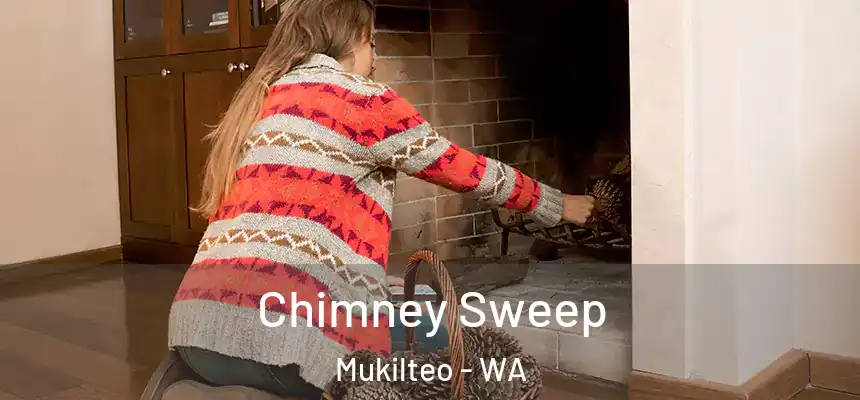 Chimney Sweep Mukilteo - WA