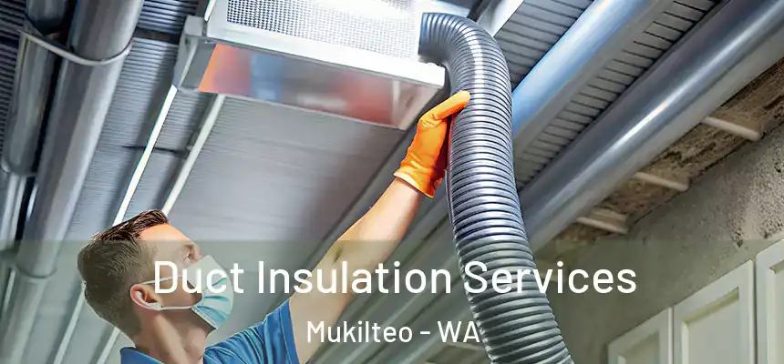 Duct Insulation Services Mukilteo - WA
