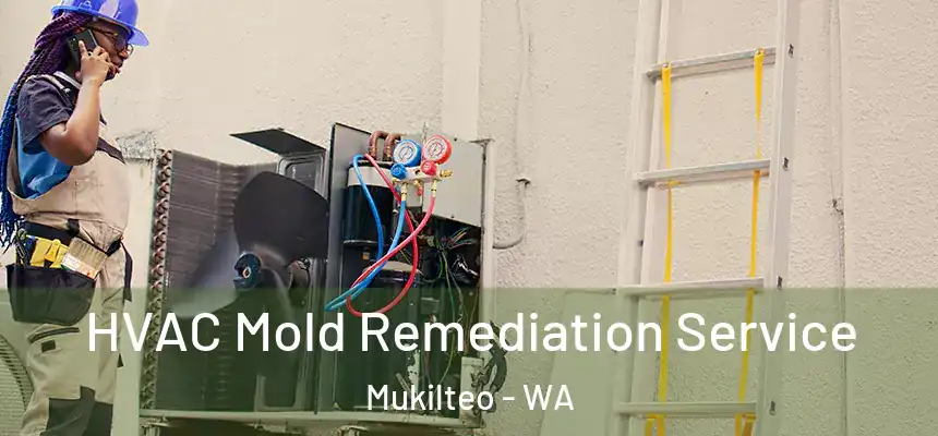  HVAC Mold Remediation Service Mukilteo - WA