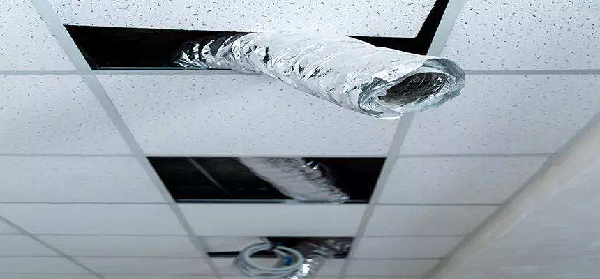 Our Air Duct Pet Hair Removal Services in Mukilteo, WA