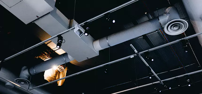 Our Seasonal Allergy Air Duct Cleaning Services in Mukilteo, WA