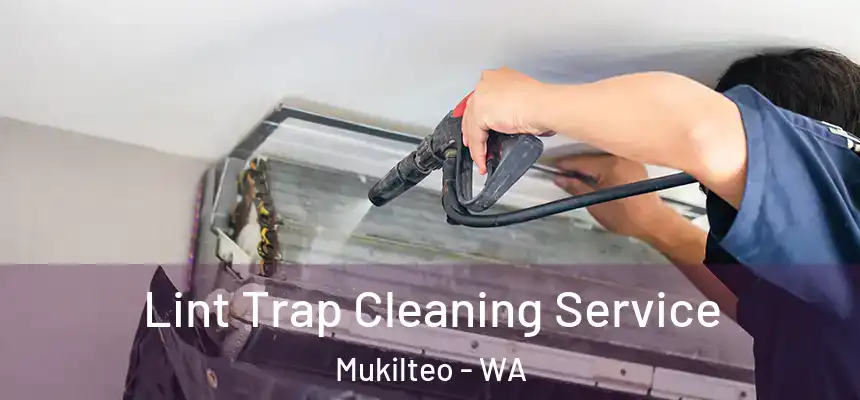  Lint Trap Cleaning Service Mukilteo - WA