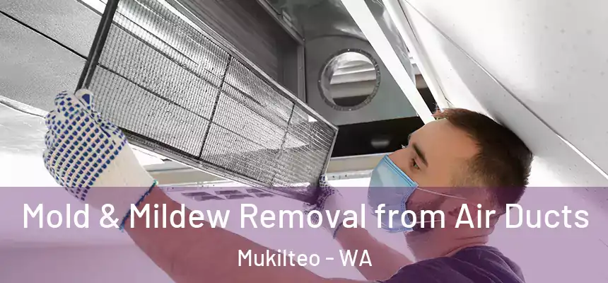 Mold & Mildew Removal from Air Ducts Mukilteo - WA