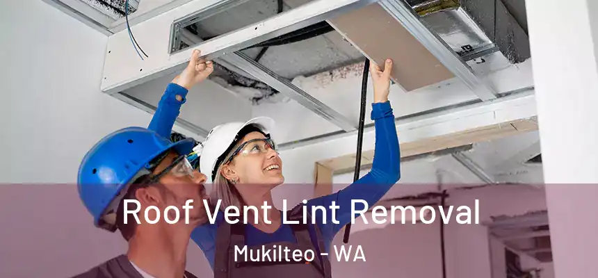  Roof Vent Lint Removal Mukilteo - WA