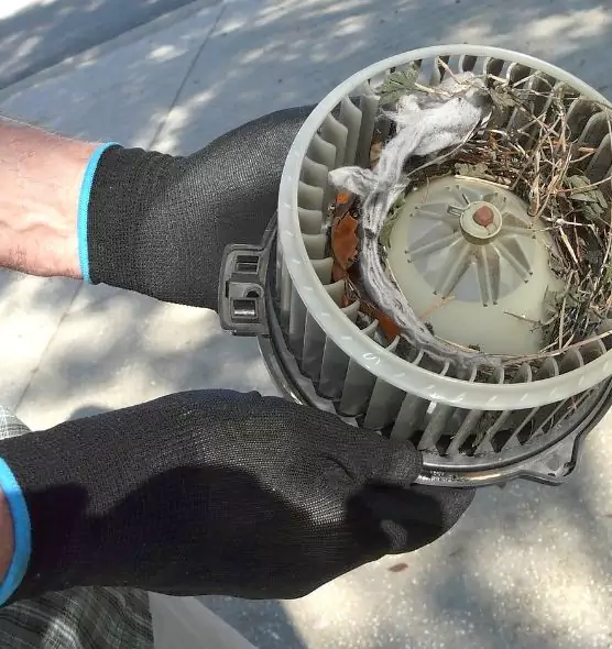 About Air Duct Mice Removal in Mukilteo, WA