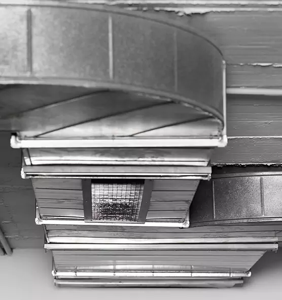 Professional Air Duct Pet Hair Removal in Mukilteo, WA