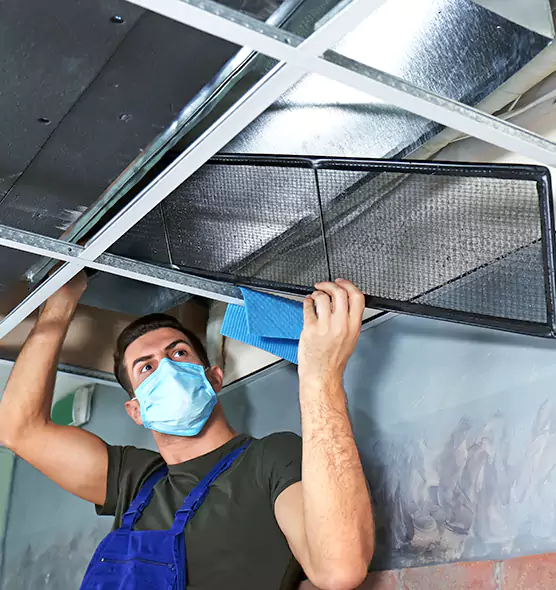 Professional Air Duct Pollen Cleaning in Mukilteo, WA