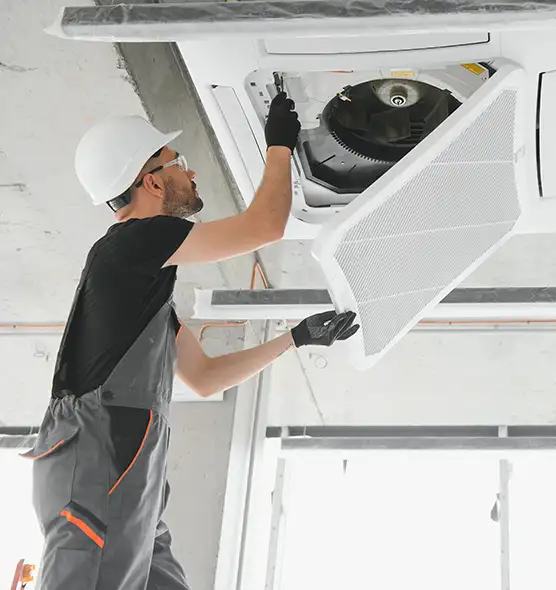 About Air Duct Rodent Removal in Mukilteo, WA