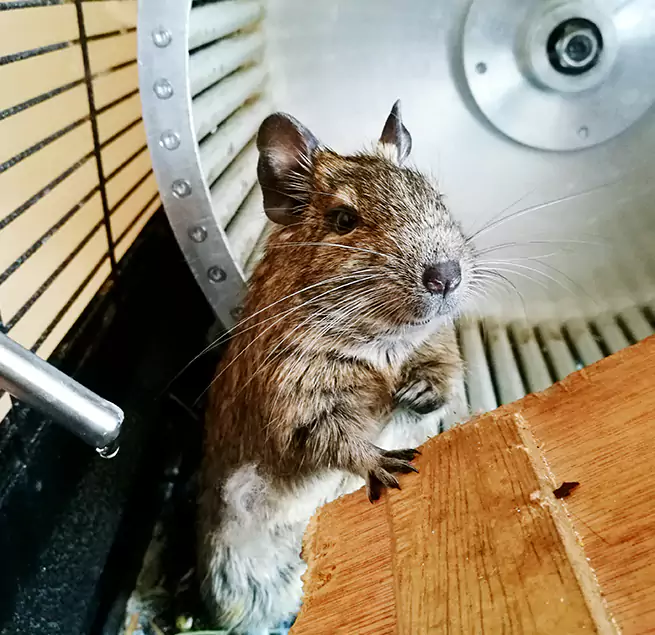 Why Homeowners & Businesses Trust Us Mukilteo, WA