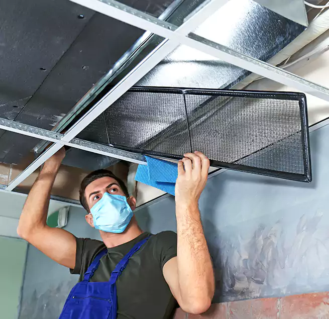 Why Homeowners Businesses Trust Us in Mukilteo, WA