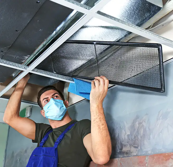 Why Homeowners & Businesses Trust Us in Mukilteo, WA?